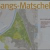 koe_irisblte matschels 3